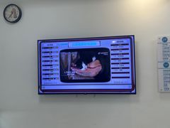 -北京观赏动物医院·24小时大型综合·猫专科·异宠专科