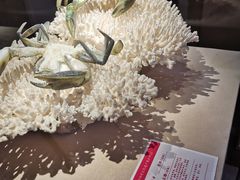 -福建省非物质文化遗产博览苑