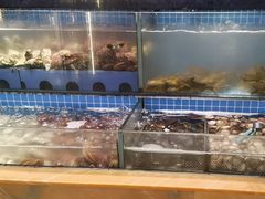 -鹿客臻鲜海鲜自助餐厅(永旺店)