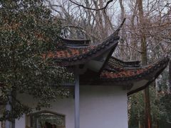 -杭州植物园