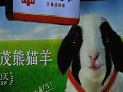 -丰茂烤串(公园店)