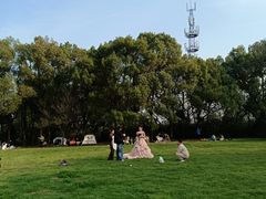 -蜀冈西峰生态公园