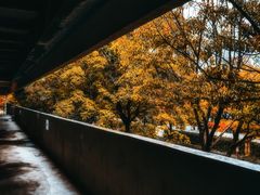 -上海当代艺术博物馆