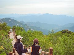 -大岭沟猕猴桃谷风景区