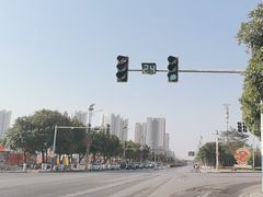 -瑞丽独树成林风景区