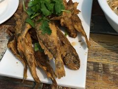 -烁佳海鲜大馅饺子
