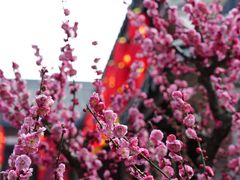 -方岩风景区