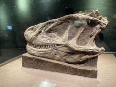 -自贡恐龙博物馆