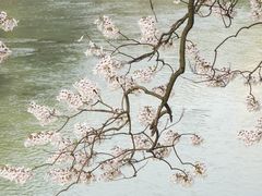 -红星桥(地铁站)
