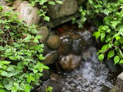 -成都市活水公园