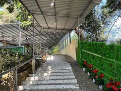 -洞背山庄(洞背院区式管理小区店)