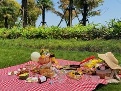 -春花秋色城市公园