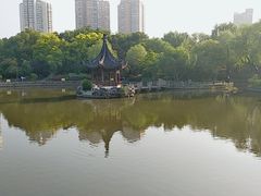 -南汇桃花村