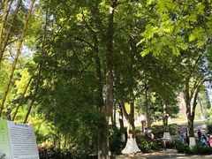 -广西壮族自治区药用植物园