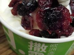 -Salud撒露欧洲冻酸奶(五道口购物中心店)