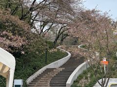 -杭州少年儿童公园
