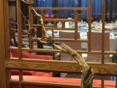 -九华山聚龙大酒店