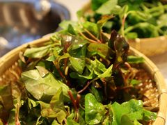 -攀枝花野菜铜火锅(万科凯德店)