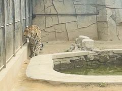 -石家庄市动物园