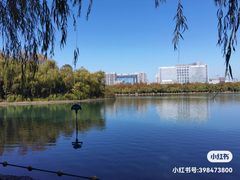 -天鹅湖体育公园