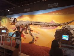 -北京科学中心儿童乐园