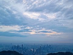 -南山植物园