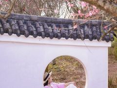 -重庆彩云湖湿地公园