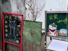 -猫色咖啡·猫咖