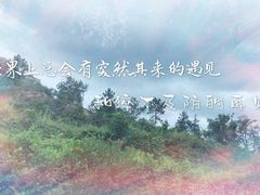 -彩虹桥宠物火化殡葬善终服务(金乐大厦店)