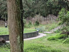 -姑婆山旅游区