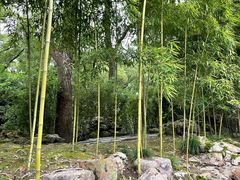 -天一阁博物院