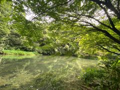 -拾溪餐厅·包厢(杭州千禧度假酒店)