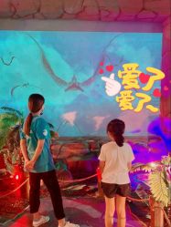 -恐龙探索乐园(磁器口店)