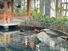 -南宫五洲植物乐园