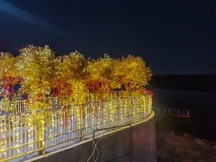 -青龙湖公园