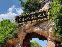-大槐树寻根祭祖园