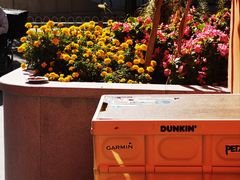 -Catch Bagel(芳草地店)