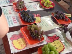 -马陆小张葡萄园农家乐