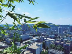 -中国宜宾·长江地标广场