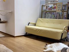 -1013 PET SHOP精品宠物商店(丁香店)