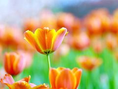 -长春公园(普阳街道)