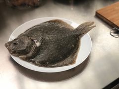 多宝鱼-盒马鲜生(莱蒙都会店)