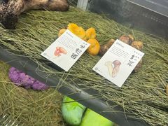 -滇野云南野生菌餐厅(陕西南路店)