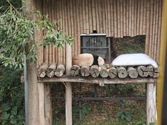 -广州长隆野生动物世界
