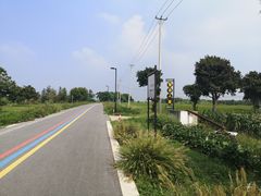 -莲花岛景区