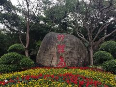 -野狸岛