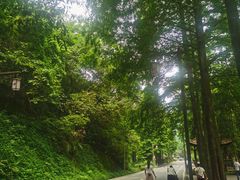 -青城山