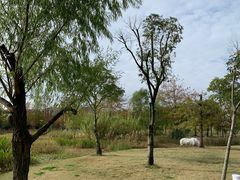 -广富林郊野公园