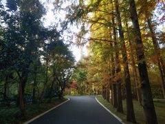 -东平国家森林公园