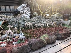-西堤厚牛排(王府井店)